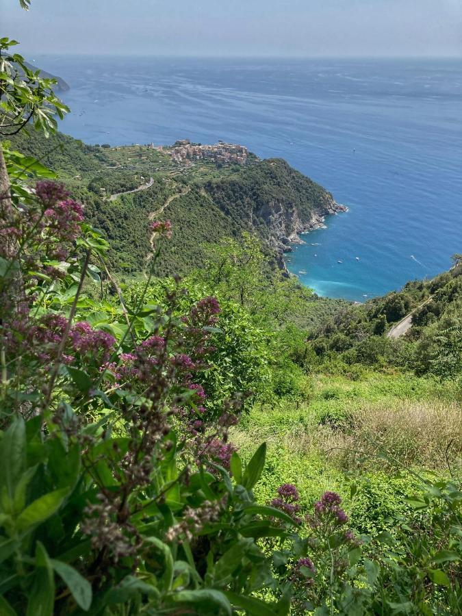 La Casa Rossa Arcola Con Vista Villa Buitenkant foto