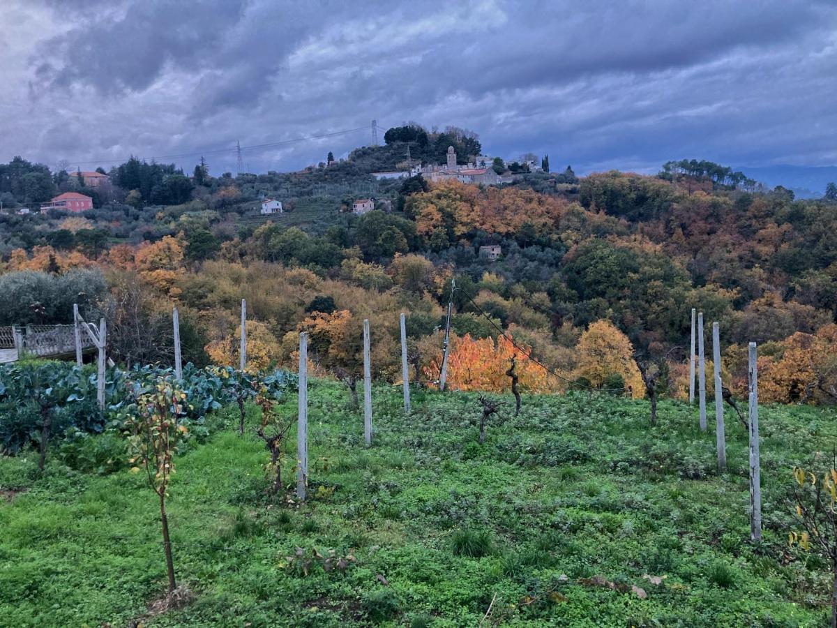 La Casa Rossa Arcola Con Vista Villa Buitenkant foto